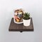 Stz 7-1/4 in. W X 8 in. D Brown Wood Shelf 1 pk 361 WOOD8-TB - alternate 4